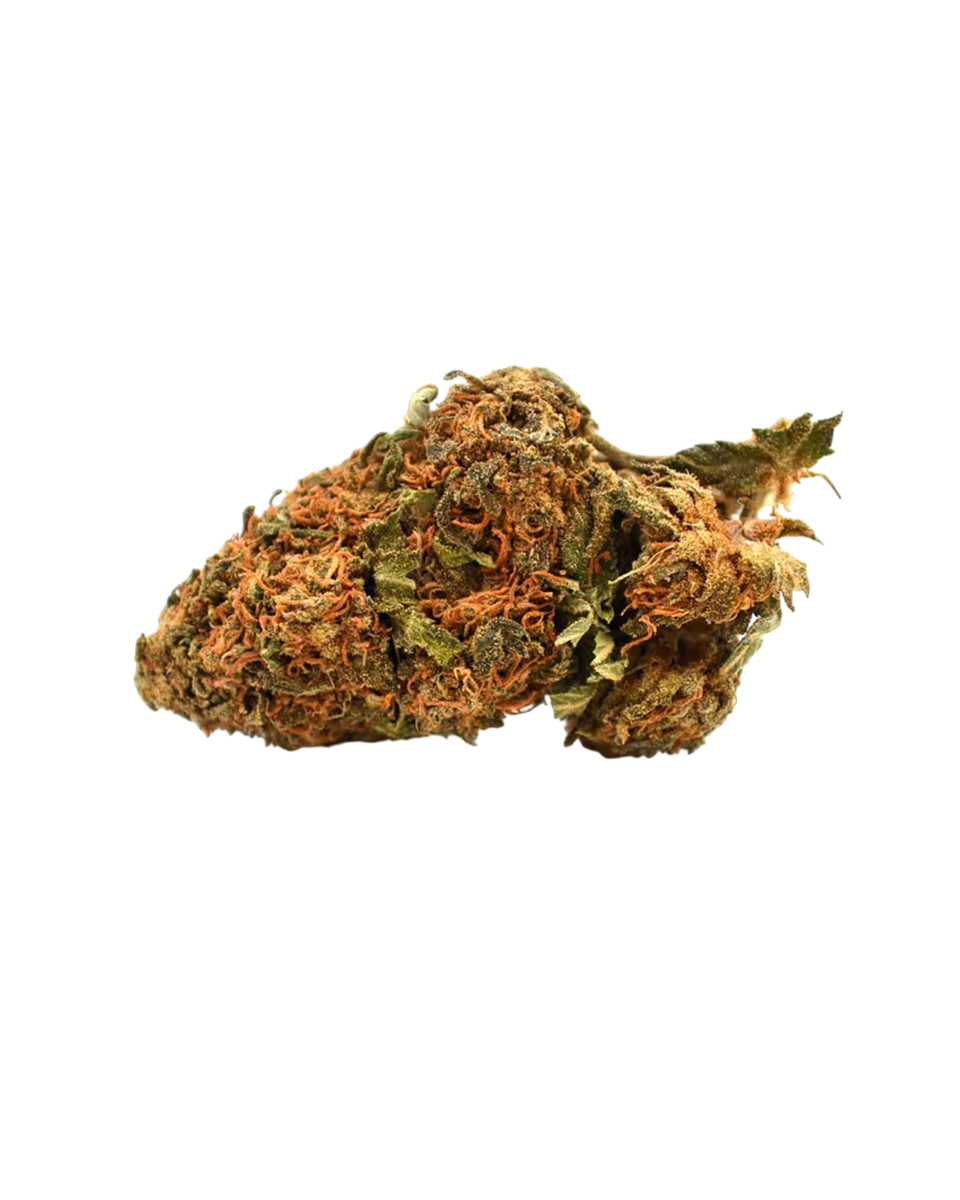 ORANGE BUD